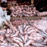 A vendor selling the fishes to the customers outside his shop at Local Market.