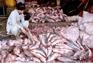 A vendor selling the fishes to the customers outside his shop at Local Market.