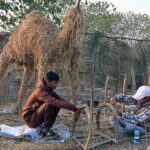 Youngsters from Christian community preparing Christmas Crib in connection of Christmas celebrations at G-7 area