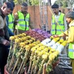 PHA staff is busy with preparations for Gul-e-Daudi Flower Exhibition