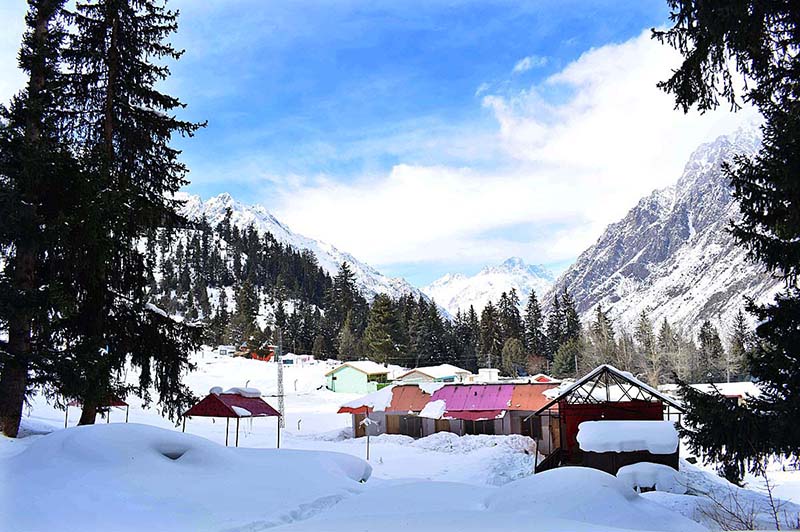 An attractive and eye catching view of Naltar Valley covered with fresh snow, marking World Mountain Day 2023