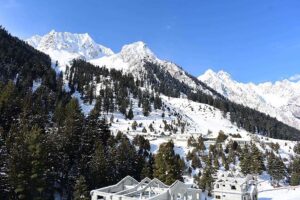 An attractive and eye catching view of Naltar Valley covered with fresh snow, marking World Mountain Day 2023
