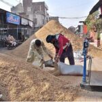Labourers busy in filling sacks of rice at Ghalla mandi