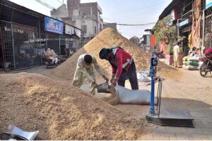 Labourers busy in filling sacks of rice at Ghalla mandi