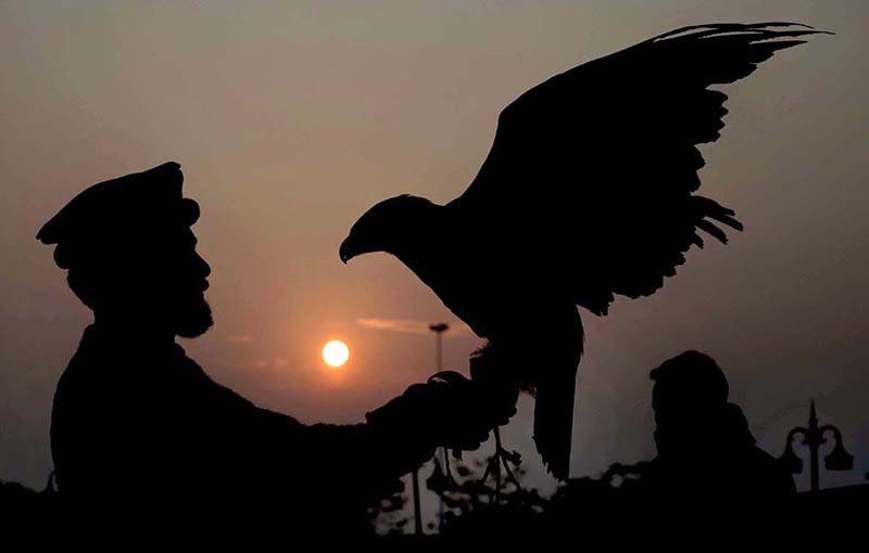 A vendor displaying his pet bird Eagle to attract the visitors for picture with at Lake View Park at Sunset Time