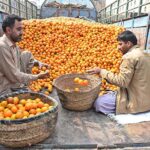 A vendor busy in unloading oranges from transportation truck at fruit market