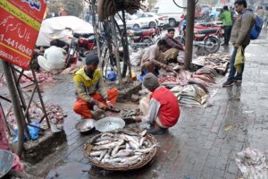 A vendor cleaning fishes to attract the customers at his setup in a local market