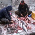 A vendor preparing and selling the fishes to the customers on his roadside setup at Local Market