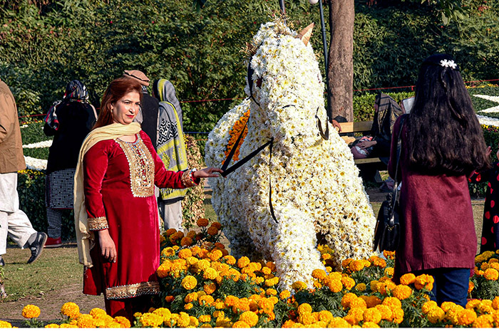 Citizens are observing a flower show at Race Course Jilani Park.