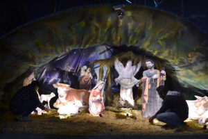 Youngsters from Christian community are decorating the St. ANTHONY'S Church for upcoming Christmas celebrations