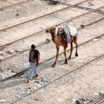 A person along with his camel crossing railway track near Railway Station
