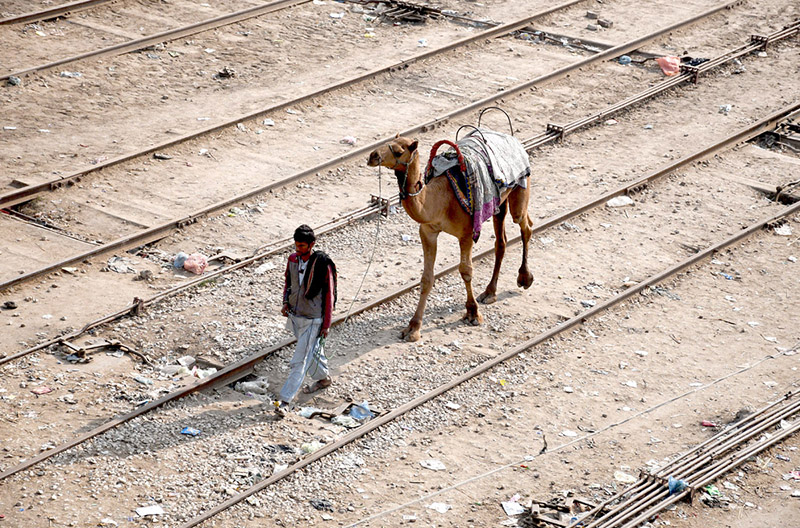 A person along with his camel crossing railway track near Railway Station