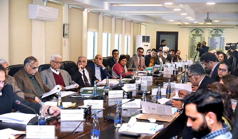 Minister for Finance, Revenue and Economic Affairs, Dr. Shamshad Akhtar chairing a meeting of Economic Coordination Committee of the Cabinet