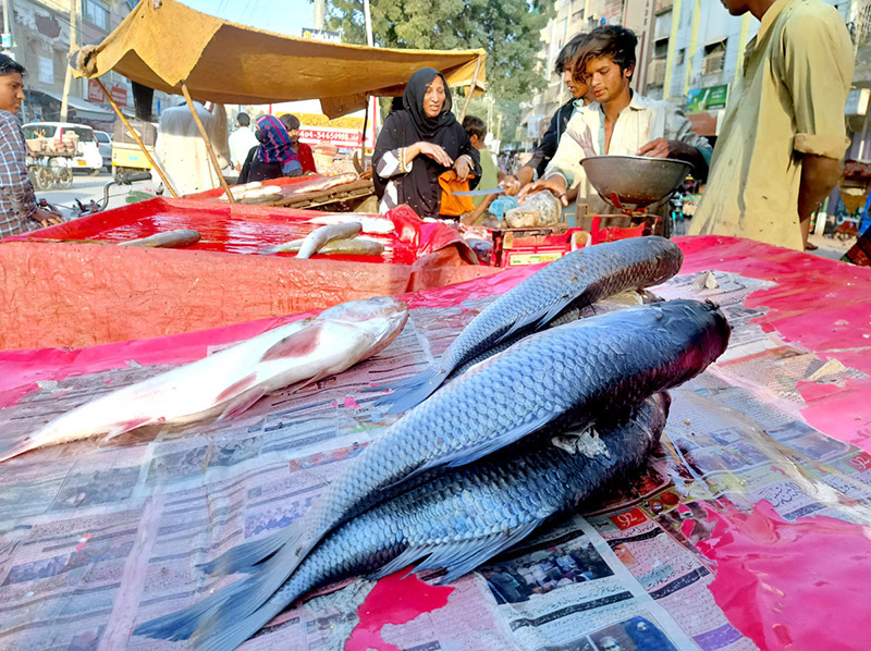 A vendor displaying fishes at his shop to attract the customers