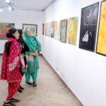 Visitor viewing Paintings during Sindh Sufi Festival at Sindh Museum