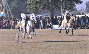 Horse riders are participating in a Tent-Pegging competition during the Winter Festival at MNS University
