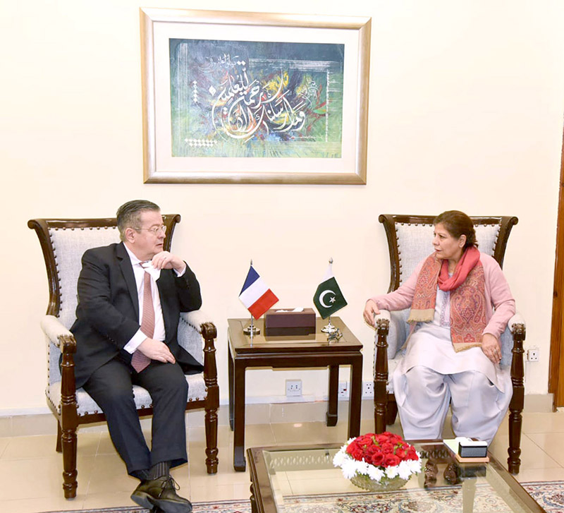 Mr. Nicolas Galey Ambassador of France to Pakistan called on Caretaker Federal Minister for Finance, Revenue and Economic Affairs Dr Shamshad Akhtar at Finance Division