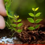 Fertilizer output increases 8.91 % in four month of FY 2023-24