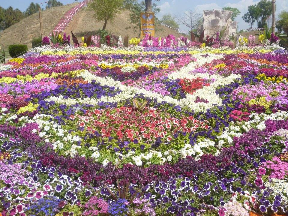 PHA organizes flower exhibition at Gymkhana