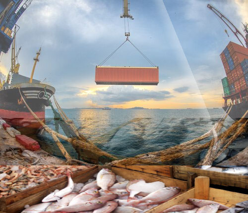 Pakistan exports seafood worth $161.8 mln in 5 months