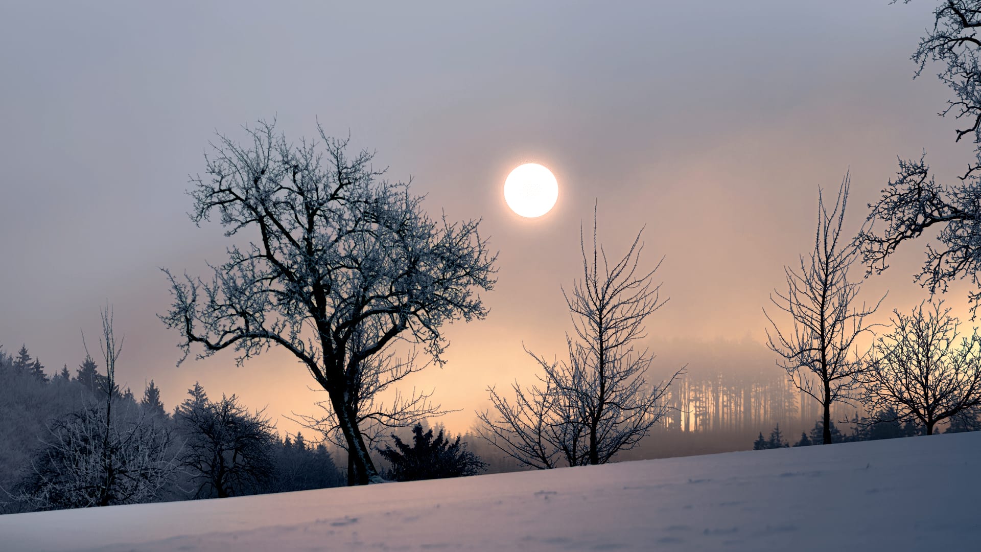 The Longest Day Of The Year 2025 Emalia Mersey