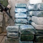 ANF recovers 133 kg drugs in five operations