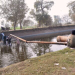 Workers busy installing Sewage pipes