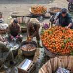 Vendors busy in washing oranges at PirWadhai.