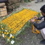 A vendor busy in preparing flower chaddar to be used in Mehndi functions at Bani Chowk