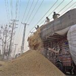 Labourers busy in unloading chaff (husk from wheat) from delivery truck at Pirwadhai.
