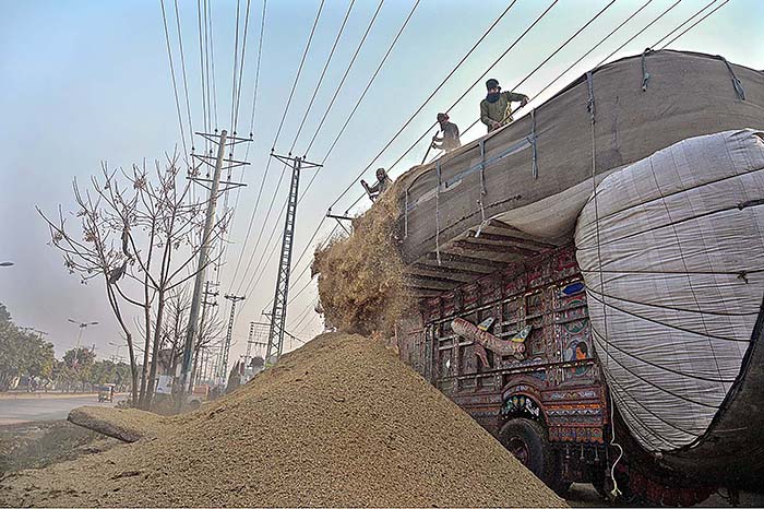 Labourers busy in unloading chaff (husk from wheat) from delivery truck at Pirwadhai.