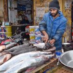 A vendor preparing fish for customers at his roadside setup.