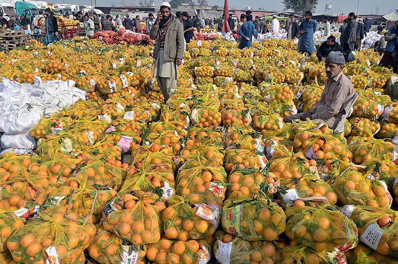Vendors displaying seasonal fruit oranges to attract the customers at Islamabad Fruit and Vegetable Market