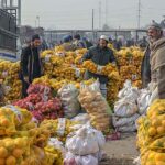 Labourers busy in arranging bags of orange after unloading from delivery truck at Fruit & Vegetable Market, Pirwadhai.