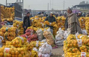 Labourers busy in arranging bags of orange after unloading from delivery truck at Fruit & Vegetable Market, Pirwadhai.
