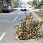 A manhole is open on Shah Jamal Road may cause any mishap and needs the attention of concerned authorities.