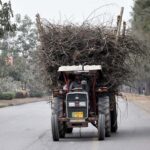 A worker carrying dry branches on Tractor trolley on its way in the city