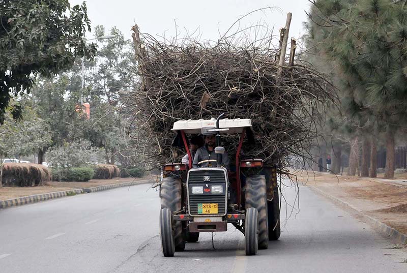 A worker carrying dry branches on Tractor trolley on its way in the city