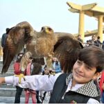 A youngster with eagle on his arm to pose for photograph at Lake View Park