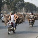 Two motorcyclists on the way at Islamabad Expressway loaded with dry branches of tree for domestic use in Federal Capital.