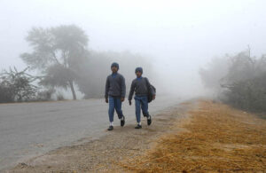 A view of thick fog during early morning.