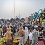 Vendors displaying bananas for auction at Fruit and Vegetable market Pirwadhai in Federal Capital
