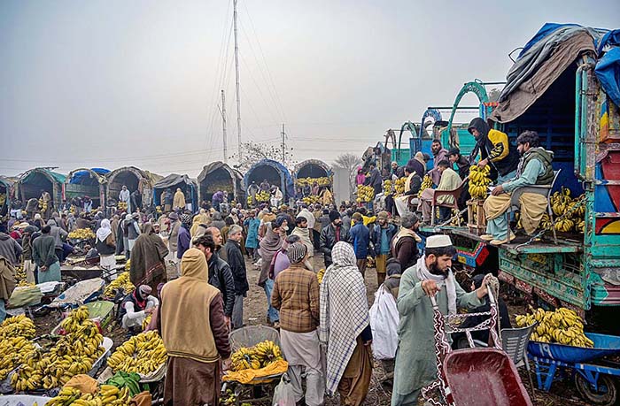 Vendors displaying bananas for auction at Fruit and Vegetable market Pirwadhai in Federal Capital