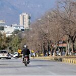 A view of leafless trees at center path of road in Federal Capital