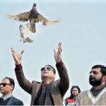Pigeons are being released by Regional Director and Principal Superior College Prof. Shahzad Suneel Azeem and Commissioner Sargodha M Ajmal Bhatti also present on the occasion during inaugurating Superior College Sports and Cultural Show.
