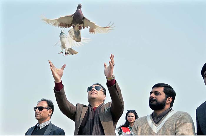 Pigeons are being released by Regional Director and Principal Superior College Prof. Shahzad Suneel Azeem and Commissioner Sargodha M Ajmal Bhatti also present on the occasion during inaugurating Superior College Sports and Cultural Show.