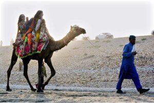 Girls enjoying camel ride at bank of River Indus