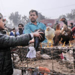 A vendor displaying and selling country hens to a customer near Dolat Gate Chowk.