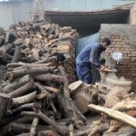 A vendor cutting wood in to pieces for selling purpose at his workplace as the demand increased for wood after dropping mercury in the city.