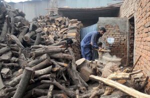 A vendor cutting wood in to pieces for selling purpose at his workplace as the demand increased for wood after dropping mercury in the city. 